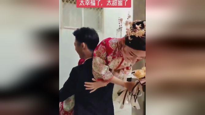 虫情测报灯