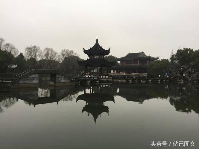 逃离棕榈树森林